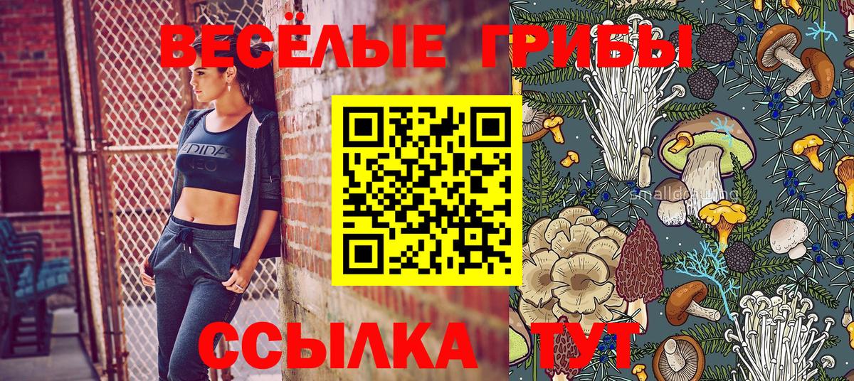 Псилоцибиновые грибы Cubensis Боровичи